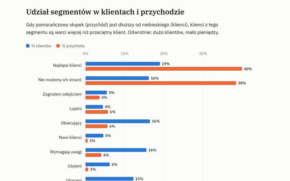 Raport segmentacji klientów z wykresem udziału segmentów w przychodzie
